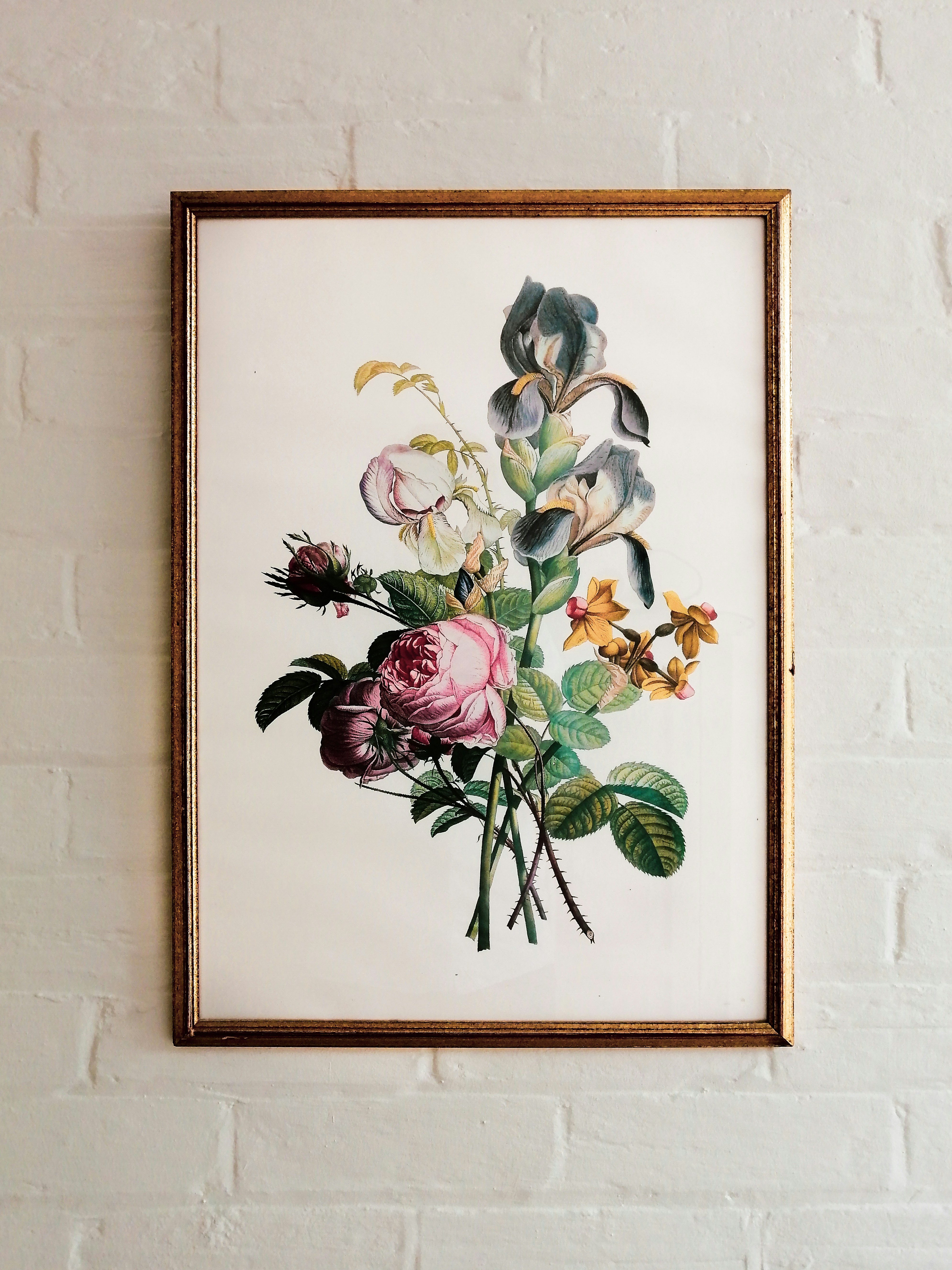 Botanical floral painting in gold frame